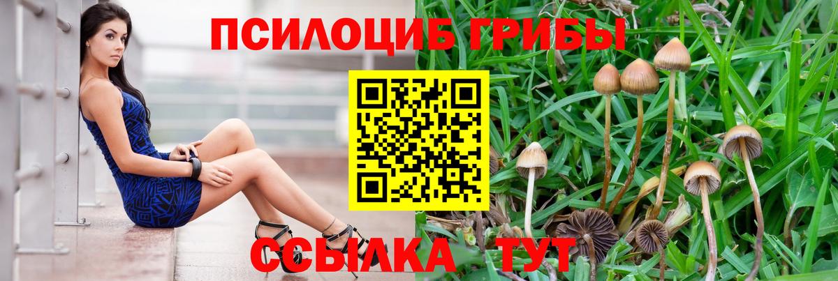 Электросталь  Галлюциногенные грибы MAGIC MUSHROOMS  Вход с VPN 
